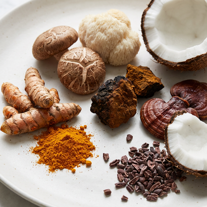 Shroom Activated Organic Turmeric Paste